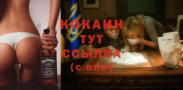 молекула духа Михайлов