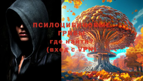амф Медвежьегорск
