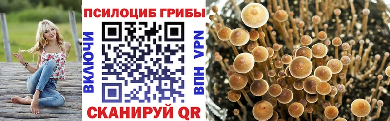 Галлюциногенные грибы мицелий  цены   Катайск 